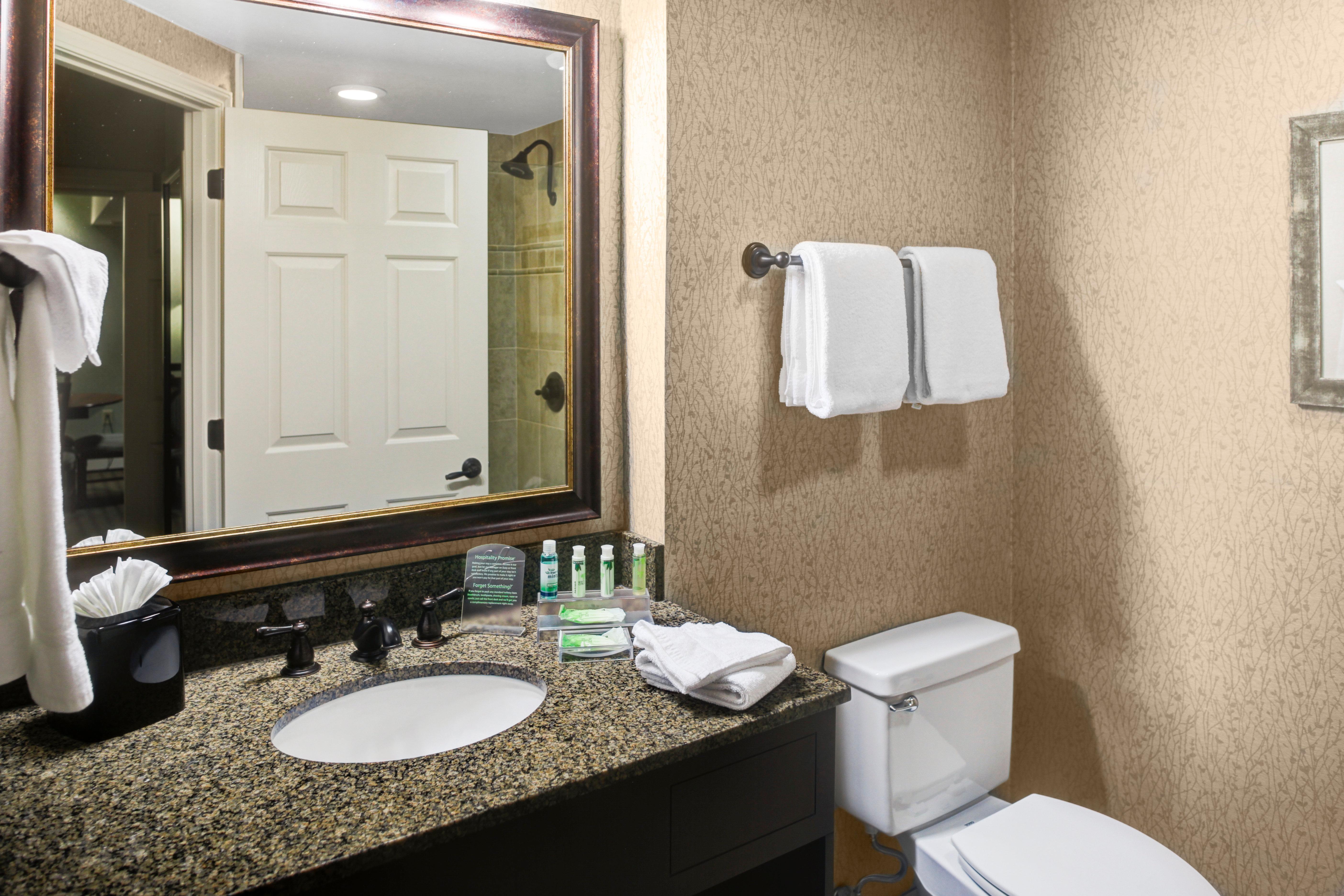 Holiday Inn Express Hotel & Suites Atlanta Buckhead By Ihg Exterior foto